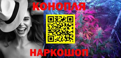 шишки Бийск