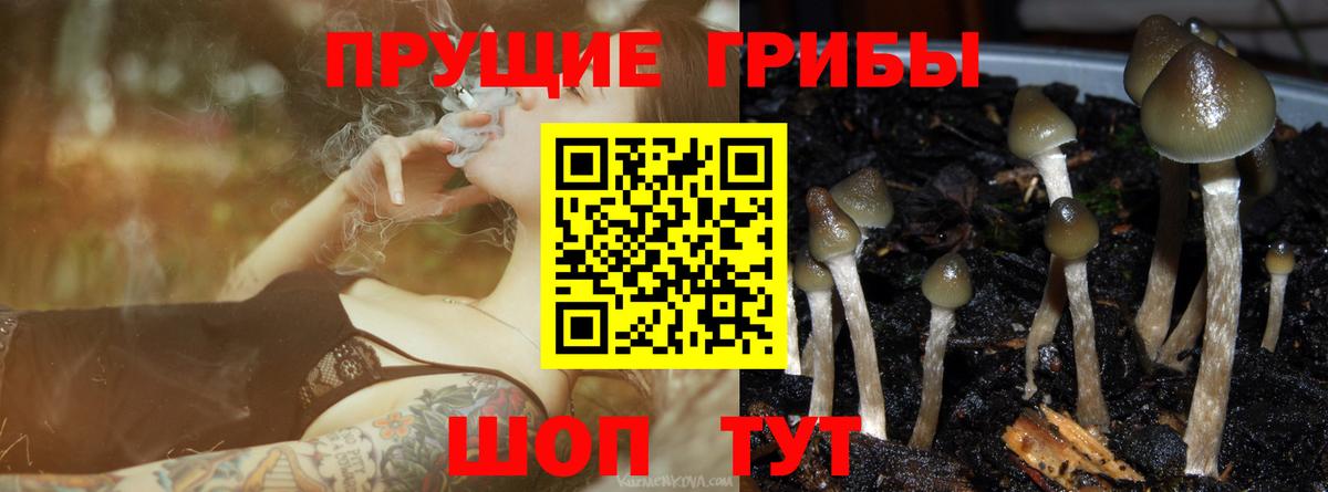 Галлюциногенные грибы GOLDEN TEACHER  Вход с VPN  Качканар  Псилоцибиновые грибы ЛСД 